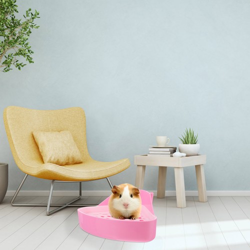 Animal cage accessory corner - cage,