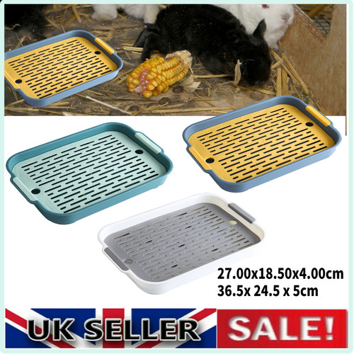 Rabbits training toilet litter - rabbits,