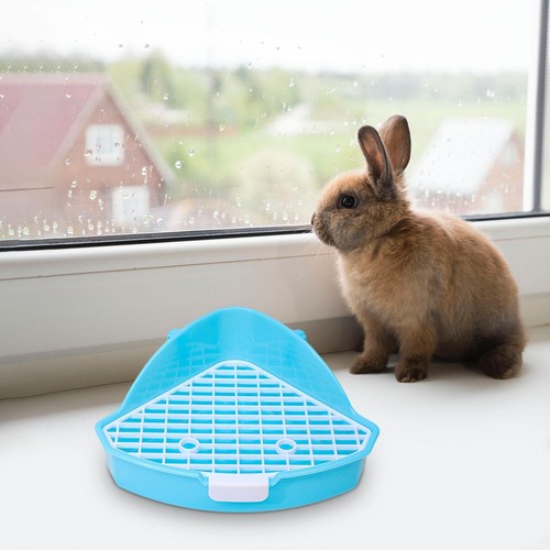 Rabbit litter box anti - rabbit,