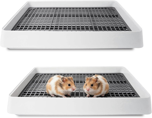 Pack rabbit litter - rabbit, box