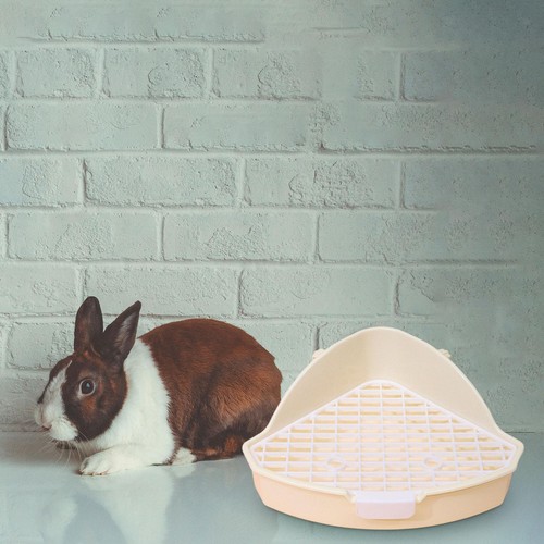Rabbit litter box anti - litter,