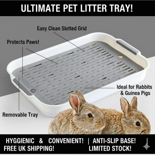 Rabbit litter box bunny - rabbit,