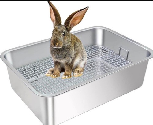 Stainless steel rabbit - steel,