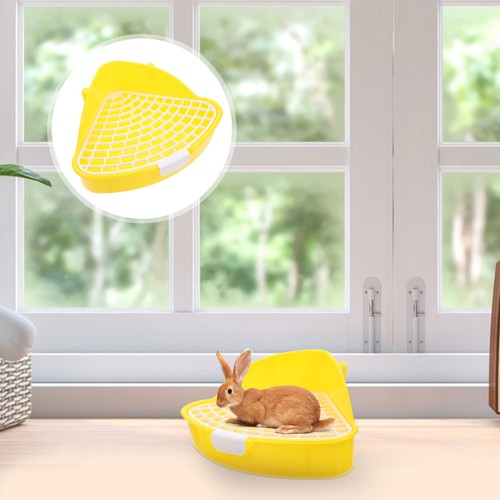 Bunny litter box pet - bunny,