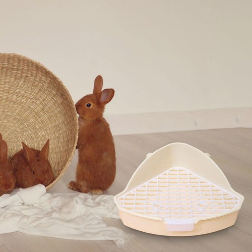 Rabbit litter box - rabbit, anti