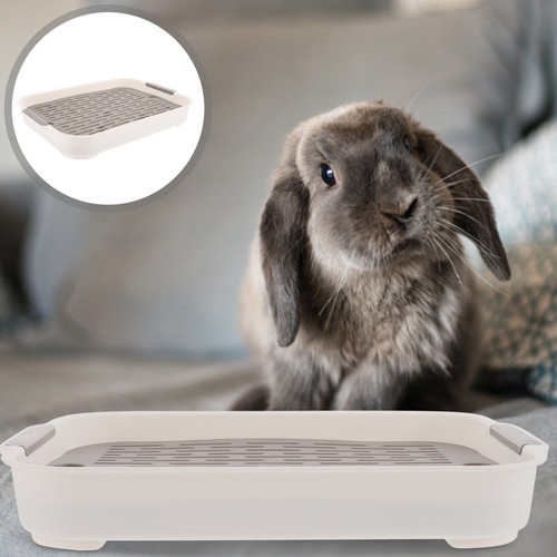 Indoor bunny toilet outdoor - indoor,