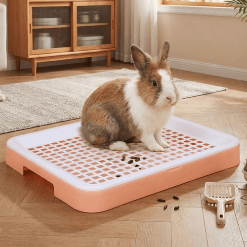Rabbit litter box plastic - litter,