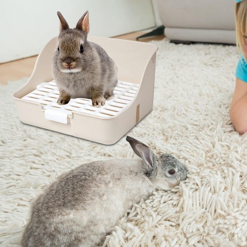 Rabbit litter box detachable - rabbit,