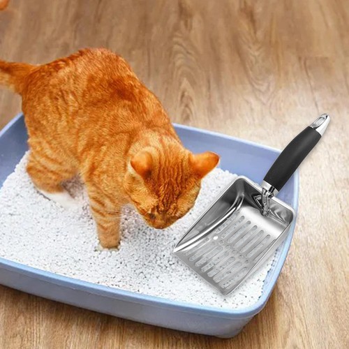 Cat litter kitty box - litter,