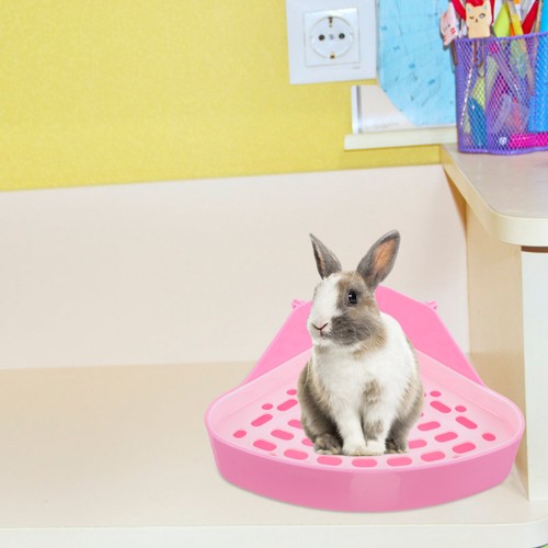 Bunny litter box pet - bunny,