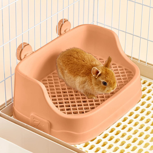 Rabbit litter box corner bunny - rabbit,