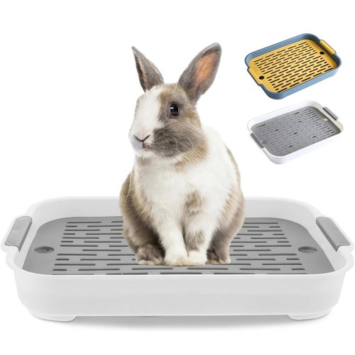 Rabbit litter box bunny - rabbit,