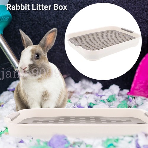 Rabbits training toilet litter - rabbits,