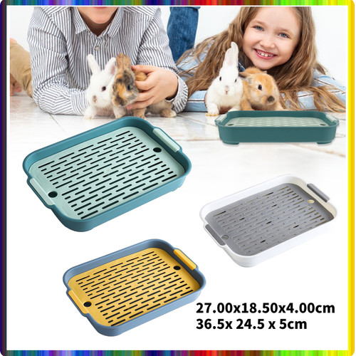 Rabbit litter box training - rabbit,