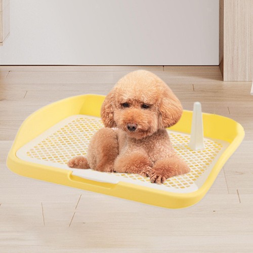 Dog toilet pet - dog,